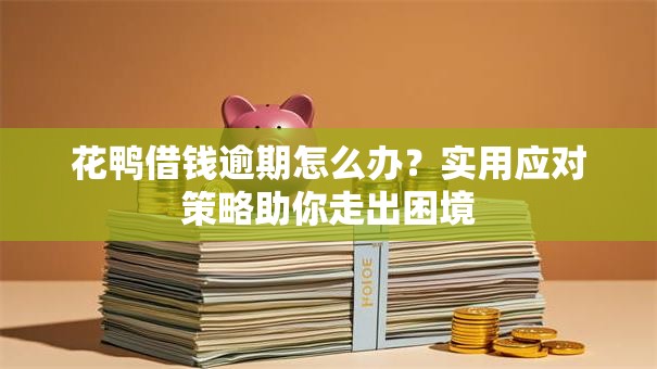 花鸭借钱逾期怎么办？实用应对策略助你走出困境