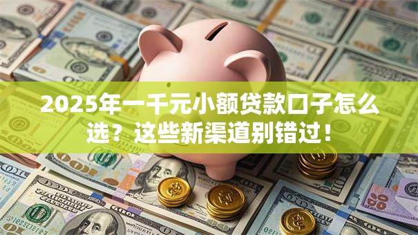 2025年一千元小额贷款口子怎么选？这些新渠道别错过！