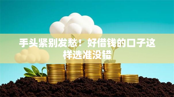 手头紧别发愁！好借钱的口子这样选准没错