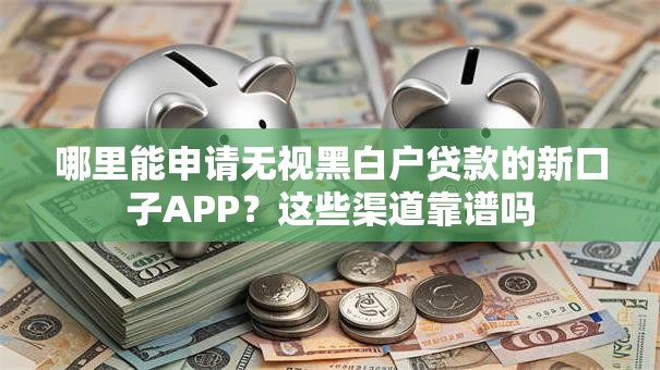 哪里能申请无视黑白户贷款的新口子APP？这些渠道靠谱吗