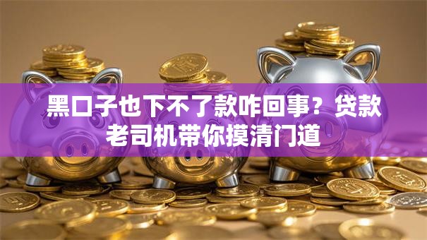 黑口子也下不了款咋回事？贷款老司机带你摸清门道