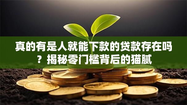 真的有是人就能下款的贷款存在吗？揭秘零门槛背后的猫腻