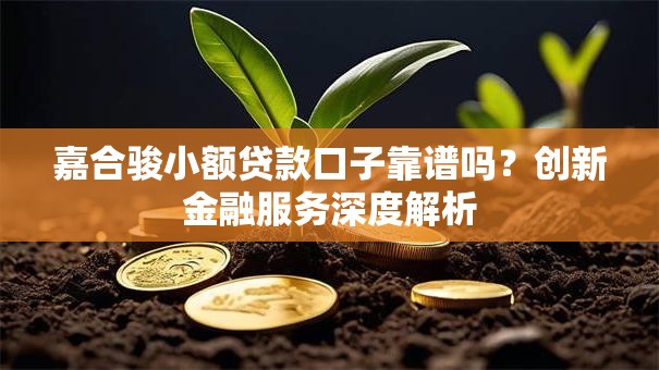 嘉合骏小额贷款口子靠谱吗？创新金融服务深度解析