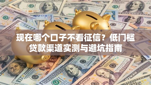 现在哪个口子不看征信？低门槛贷款渠道实测与避坑指南