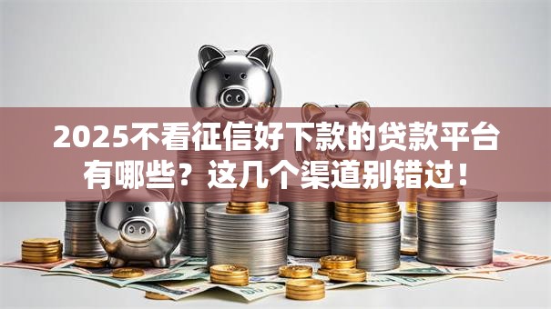 2025不看征信好下款的贷款平台有哪些？这几个渠道别错过！