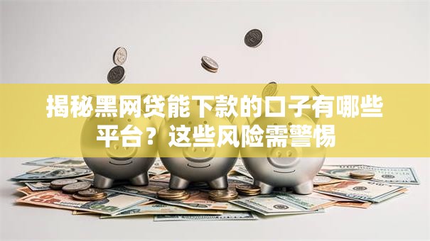 揭秘黑网贷能下款的口子有哪些平台？这些风险需警惕