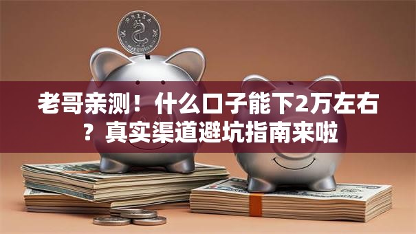 老哥亲测！什么口子能下2万左右？真实渠道避坑指南来啦