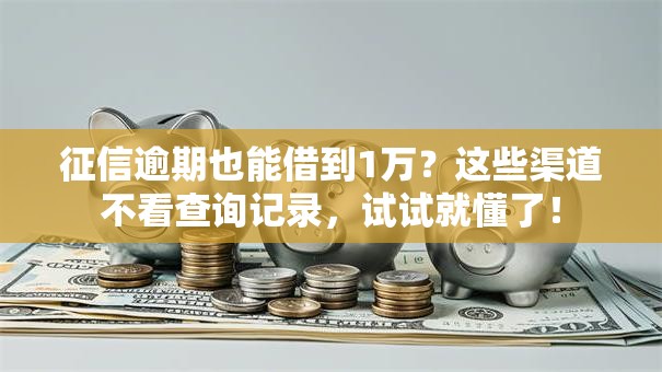 征信逾期也能借到1万？这些渠道不看查询记录，试试就懂了！