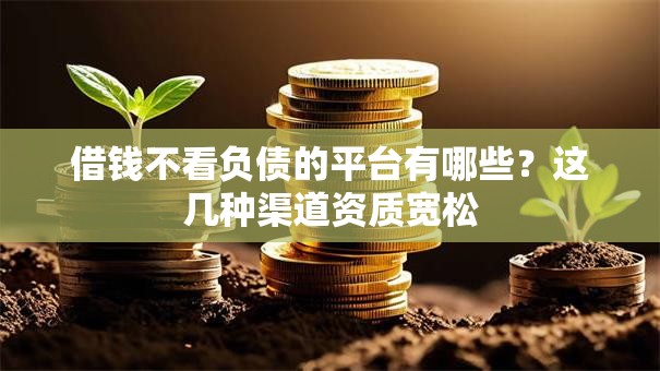 借钱不看负债的平台有哪些？这几种渠道资质宽松