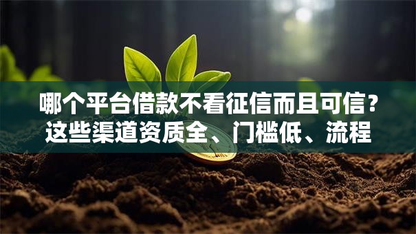 哪个平台借款不看征信而且可信？这些渠道资质全、门槛低、流程快