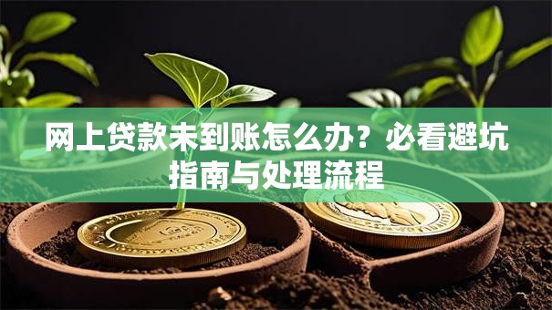 网上贷款未到账怎么办？必看避坑指南与处理流程