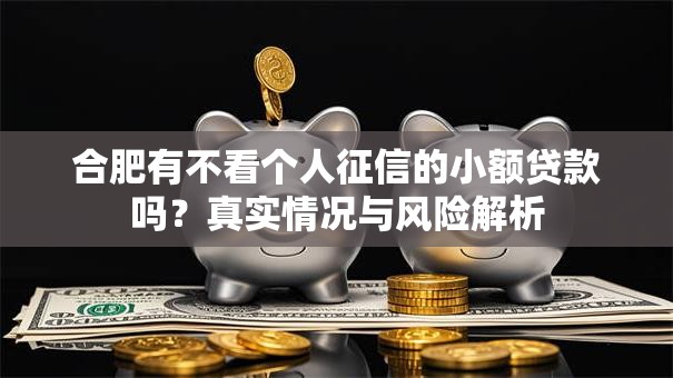 合肥有不看个人征信的小额贷款吗？真实情况与风险解析