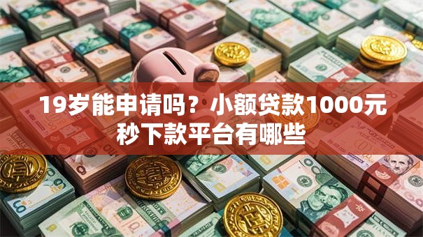 19岁能申请吗？小额贷款1000元秒下款平台有哪些