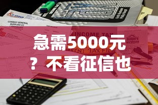 急需5000元？不看征信也能快速到账的借款渠道盘点