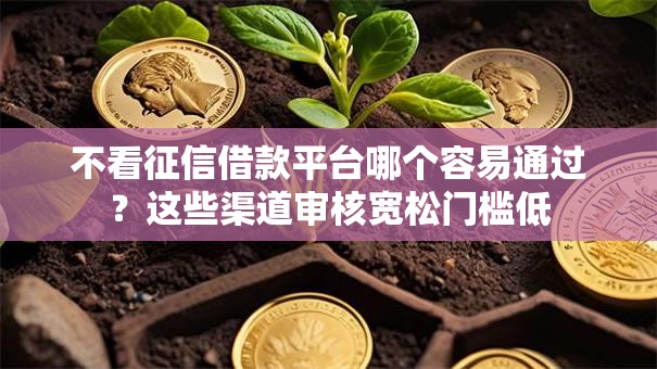 不看征信借款平台哪个容易通过？这些渠道审核宽松门槛低