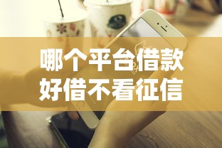 哪个平台借款好借不看征信？这三类渠道真实评测