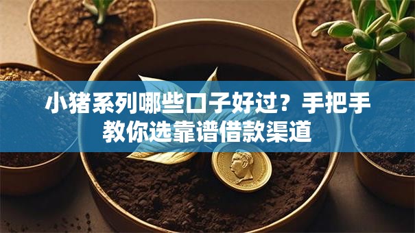小猪系列哪些口子好过？手把手教你选靠谱借款渠道