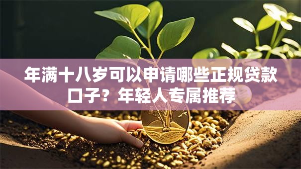 年满十八岁可以申请哪些正规贷款口子？年轻人专属推荐