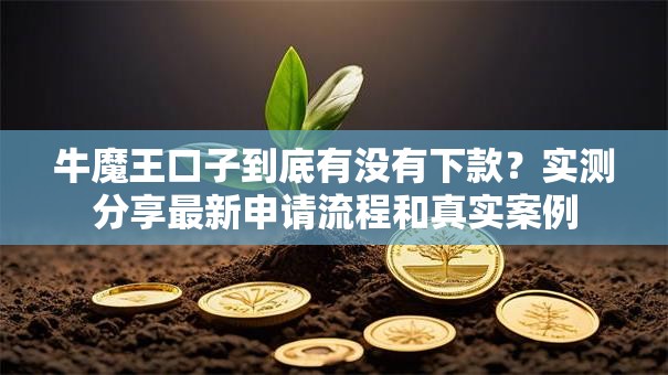 牛魔王口子到底有没有下款？实测分享最新申请流程和真实案例