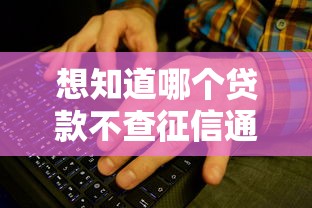 想知道哪个贷款不查征信通过率高？试试这些方法！