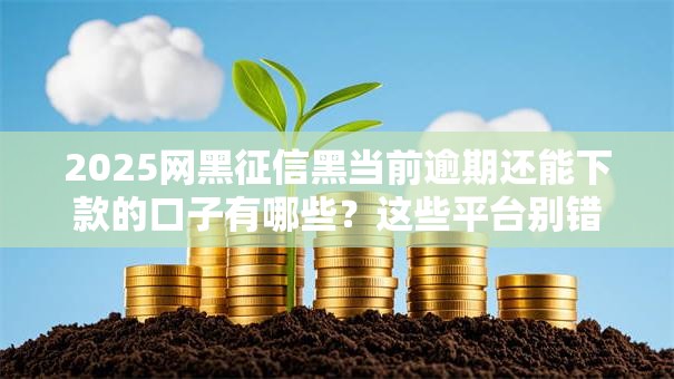 2025网黑征信黑当前逾期还能下款的口子有哪些？这些平台别错过！