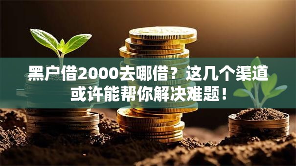 黑户借2000去哪借？这几个渠道或许能帮你解决难题！