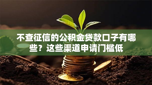 不查征信的公积金贷款口子有哪些？这些渠道申请门槛低