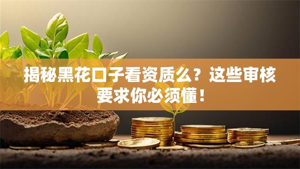 揭秘黑花口子看资质么？这些审核要求你必须懂！