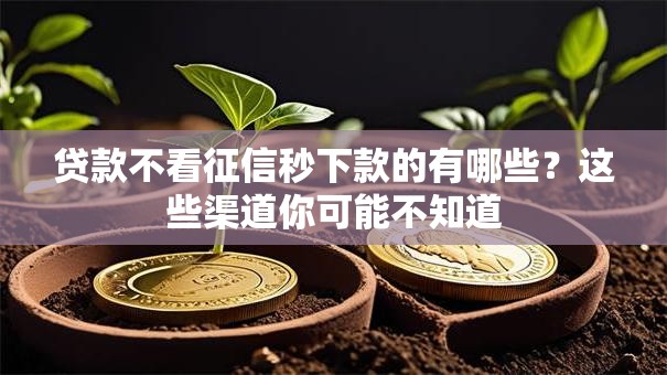 贷款不看征信秒下款的有哪些？这些渠道你可能不知道
