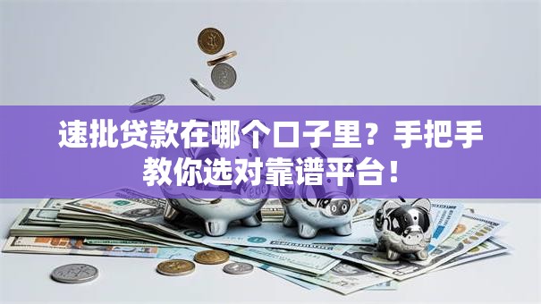 速批贷款在哪个口子里？手把手教你选对靠谱平台！