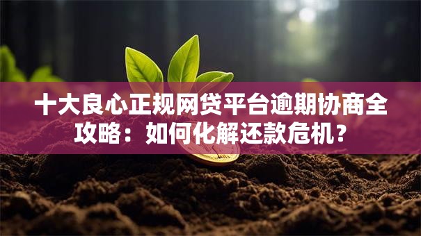 十大良心正规网贷平台逾期协商全攻略：如何化解还款危机？