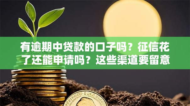 有逾期中贷款的口子吗？征信花了还能申请吗？这些渠道要留意