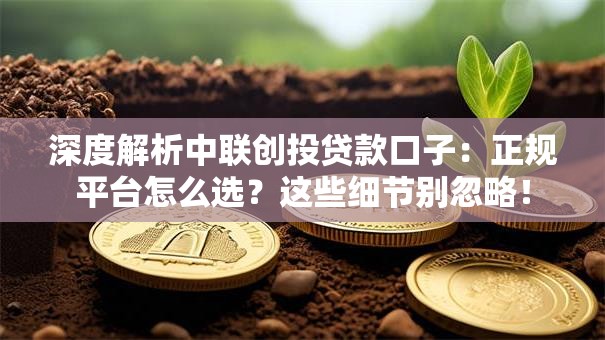 深度解析中联创投贷款口子：正规平台怎么选？这些细节别忽略！