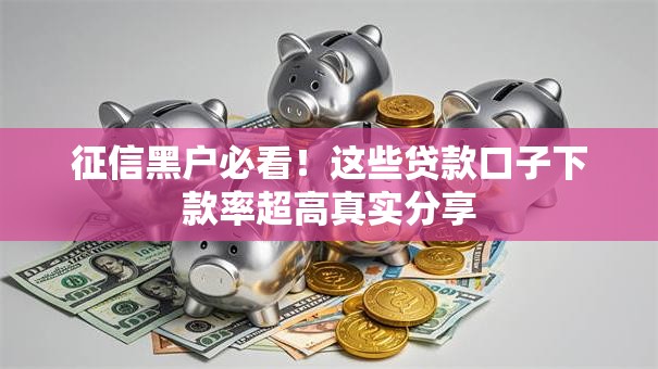征信黑户必看！这些贷款口子下款率超高真实分享