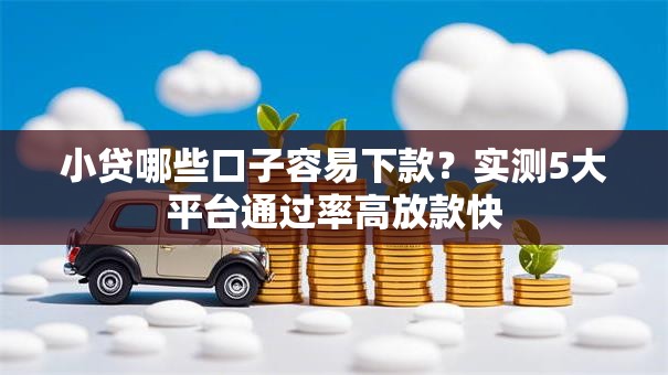 小贷哪些口子容易下款？实测5大平台通过率高放款快