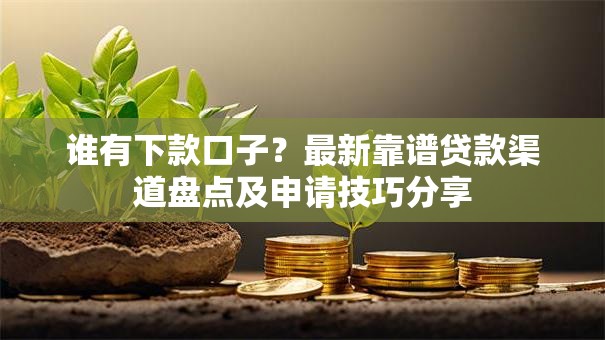 谁有下款口子？最新靠谱贷款渠道盘点及申请技巧分享