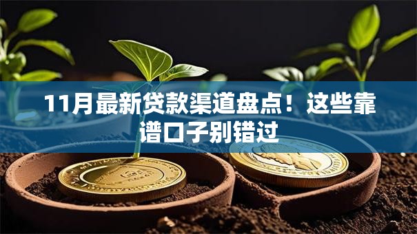 11月最新贷款渠道盘点！这些靠谱口子别错过