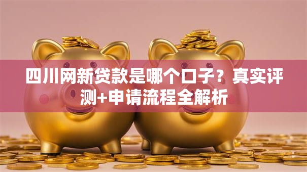 四川网新贷款是哪个口子？真实评测+申请流程全解析
