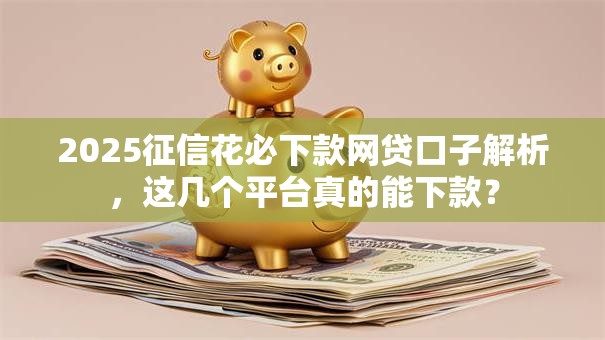 2025征信花必下款网贷口子解析，这几个平台真的能下款？