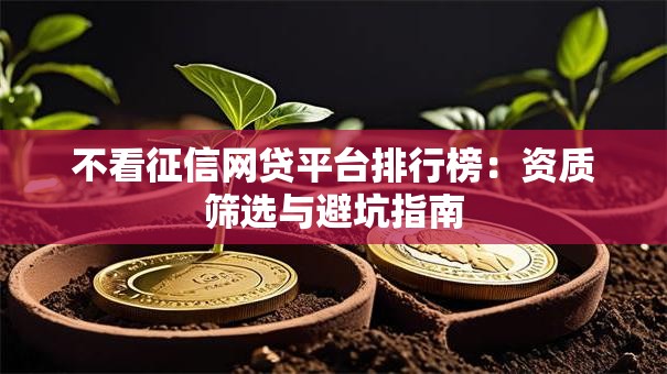 不看征信网贷平台排行榜：资质筛选与避坑指南