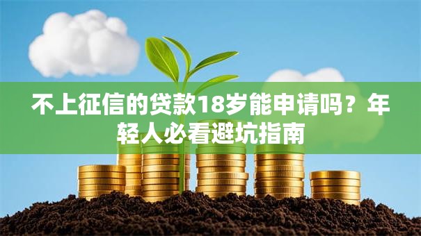 不上征信的贷款18岁能申请吗？年轻人必看避坑指南
