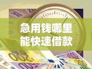 急用钱哪里能快速借款？靠谱平台选择攻略