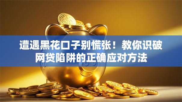 遭遇黑花口子别慌张！教你识破网贷陷阱的正确应对方法