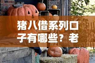 猪八借系列口子有哪些？老哥实测靠谱平台优缺点大解析