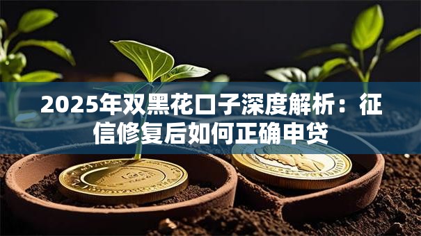 2025年双黑花口子深度解析：征信修复后如何正确申贷