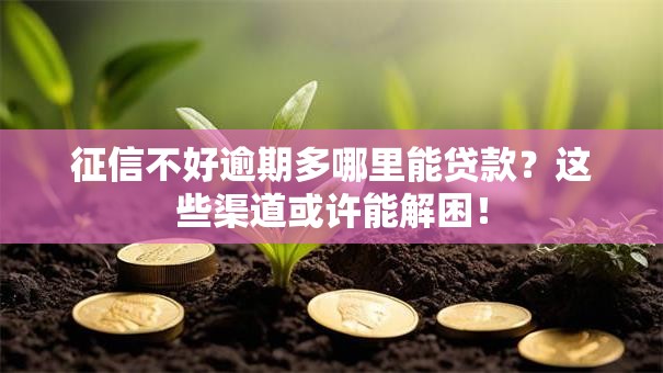征信不好逾期多哪里能贷款？这些渠道或许能解困！