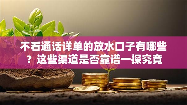 不看通话详单的放水口子有哪些？这些渠道是否靠谱一探究竟