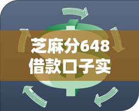 芝麻分648借款口子实测！信用中等也能快速下款攻略