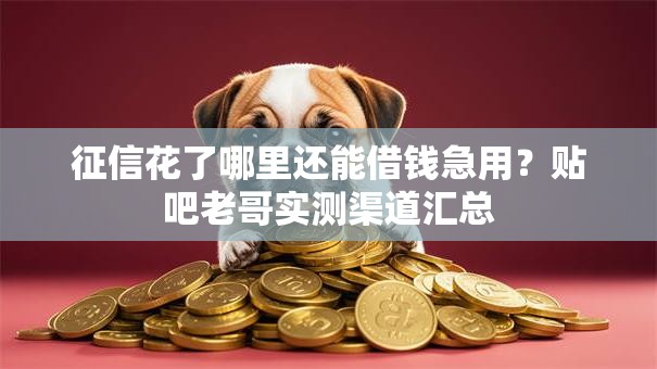 征信花了哪里还能借钱急用？贴吧老哥实测渠道汇总