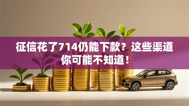 征信花了714仍能下款？这些渠道你可能不知道！